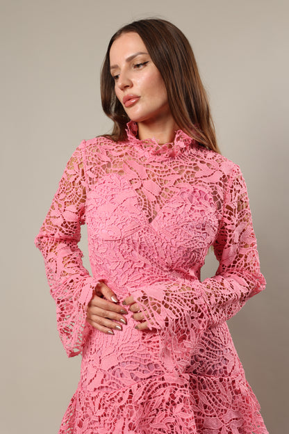 Lace lily